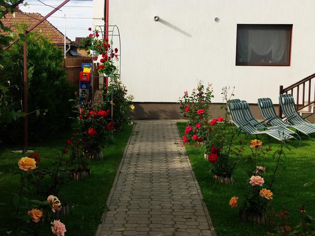 Pensiunea Dara Risnov Exterior photo